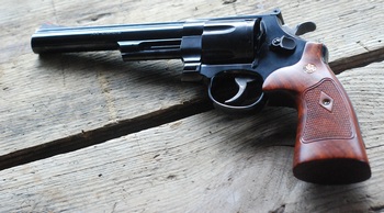 Side view S&W model 29 .44 magnum