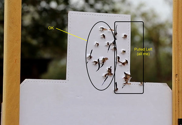 Canik TP9 Elite SC Silhouette Head Shot Target hits