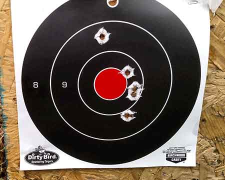 Target Results For Taurus Tracker .44 Magnum - 4 Inch Barrel