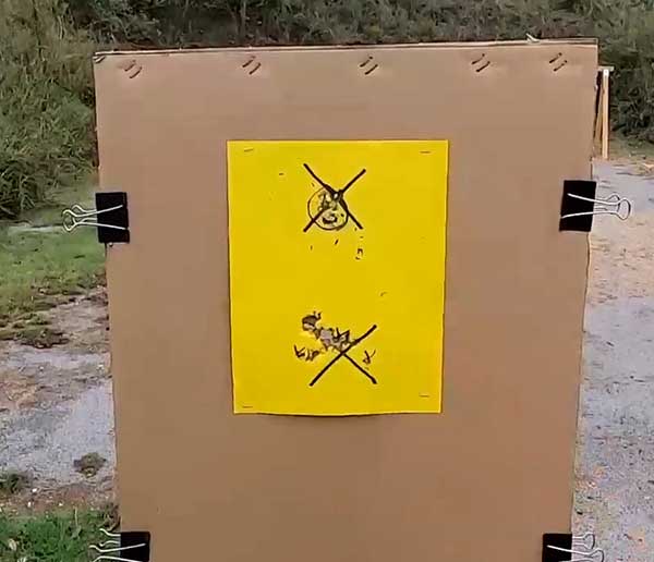 TP9 Elite SC first shot targets