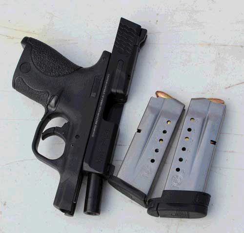 S&W Military and Police Shield 9mm with the 7 and 8 round magazines.