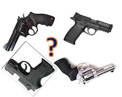 Which gun to choose picture
